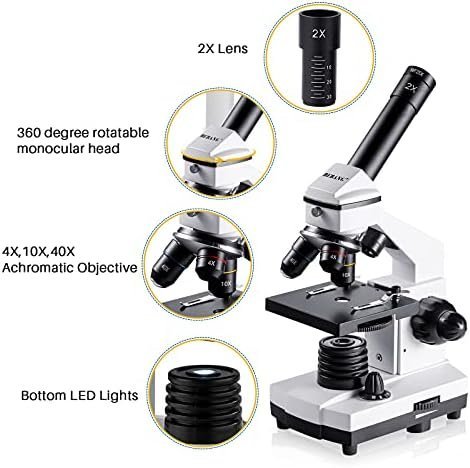 Microscope for Adults Kids, 100X-2000X BEBANG Compound Microscope - Image 3