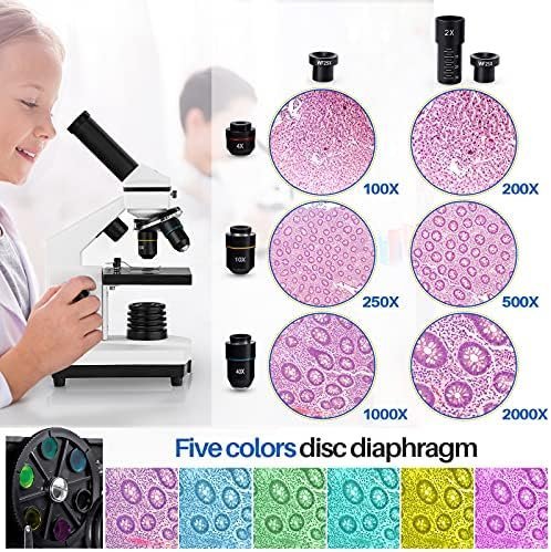 Microscope for Adults Kids, 100X-2000X BEBANG Compound Microscope - Image 2